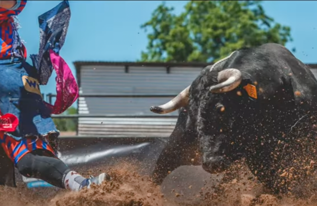 Winnebago, TX Ultimate Bullfighters